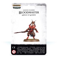 Bloodmaster Herald of Khorne (1)