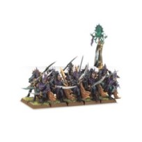 Black Ark Corsairs (10)