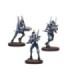 DZ Asterian Clade Warriors Starter