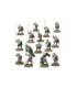 Warriors of Arnor Warband (14) (V.D.)