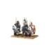 Bretonnia: Bretonnian Questing Knights (V.D.) (V.D.)