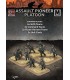 Assault Pioneer Platoon (40 figs) Plastic